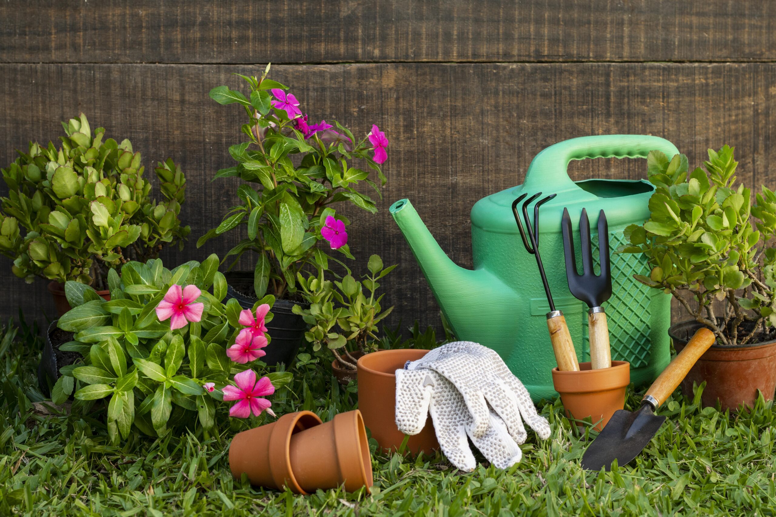 How Gardening Helps Your Child’s Mental Development