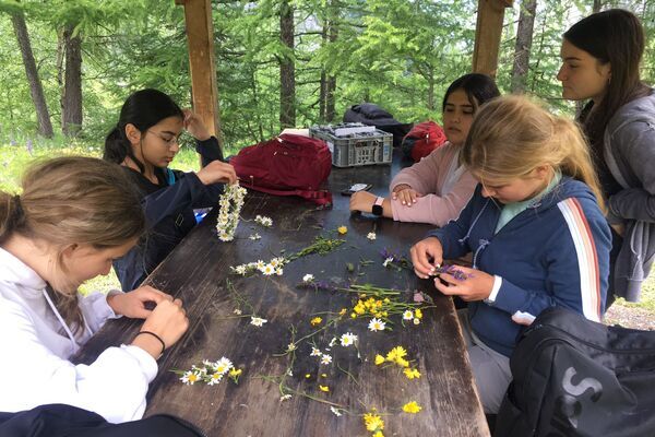 Girls studying fauna and flora of the Alps as part of their Duke of Edinburgh's exploration with Les Elfes International