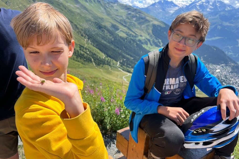 Camper holds a cricket in his hand and his friend is looking at him