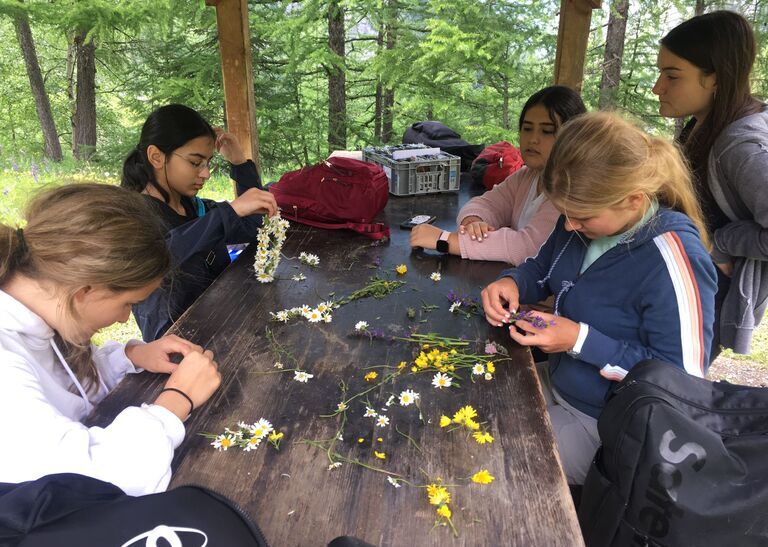 group of girls sorting flowers as part of their duke of edinburgh's adventurous journey with Les Elfes International